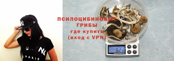 хмурый Алзамай