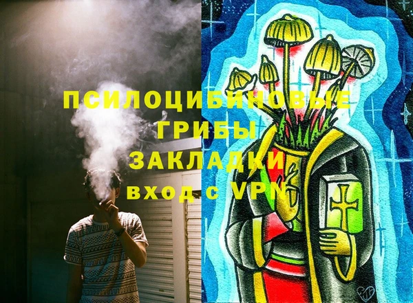 герыч Алексин